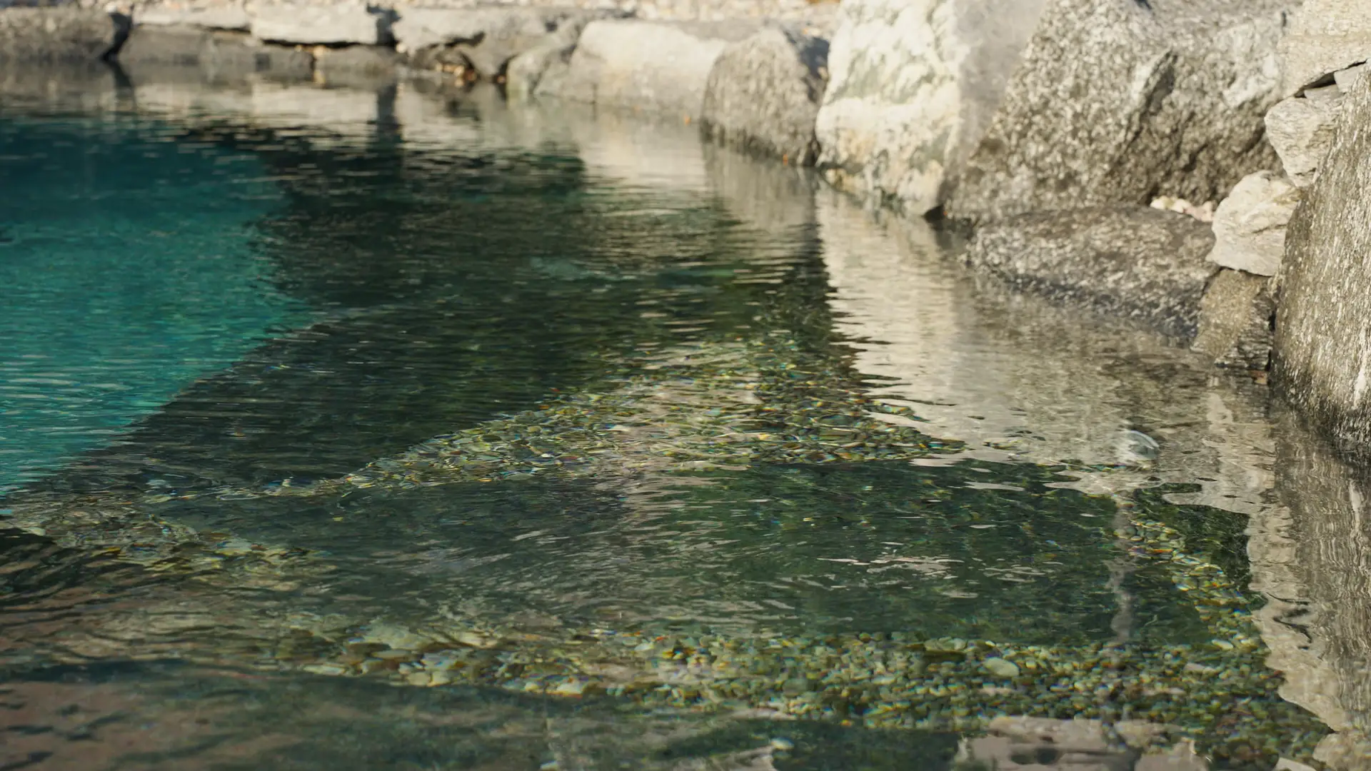 Piscina naturale Garda Natural Pools Design, foto 18