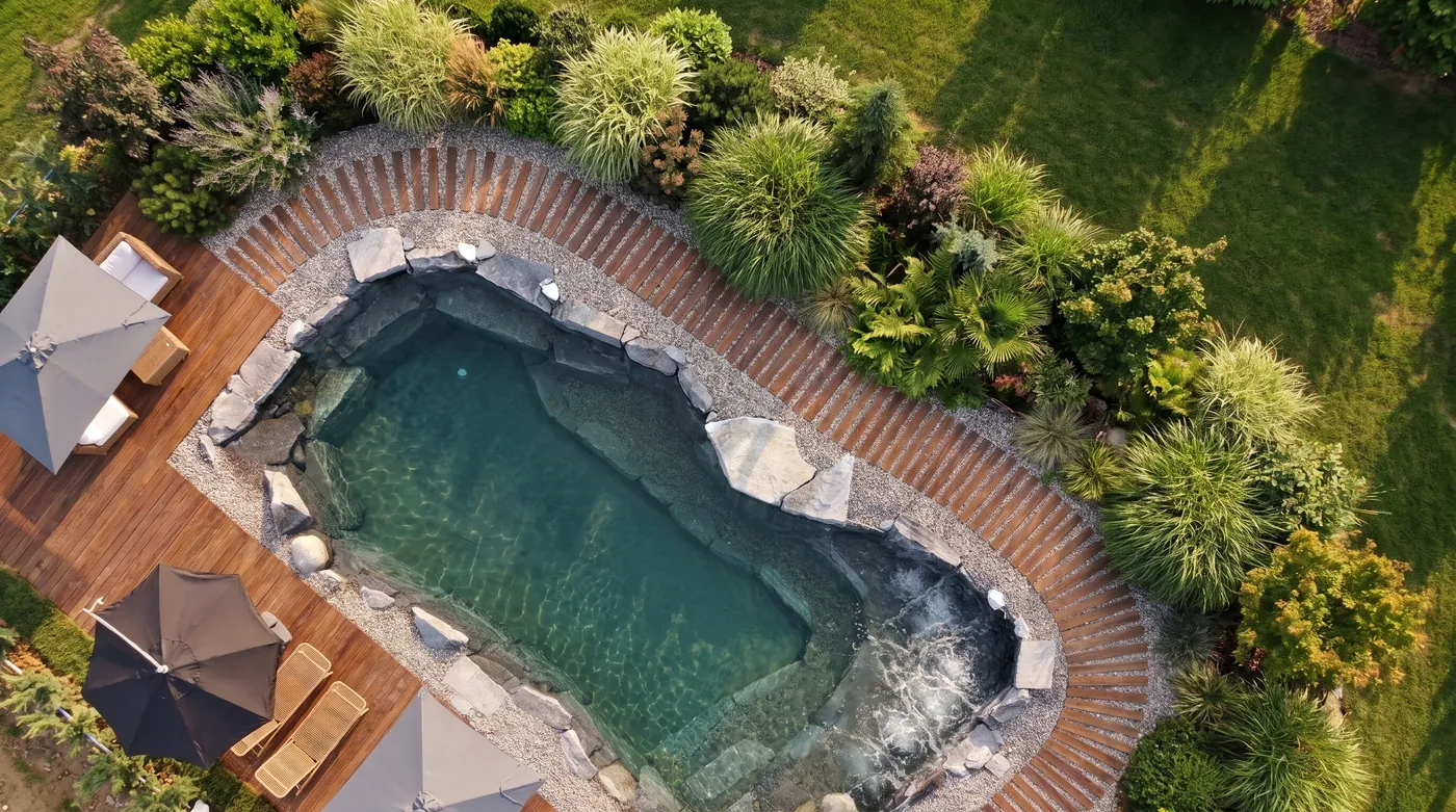 Piscina naturale circondata da vegetazione rigogliosa, vista dall'alto